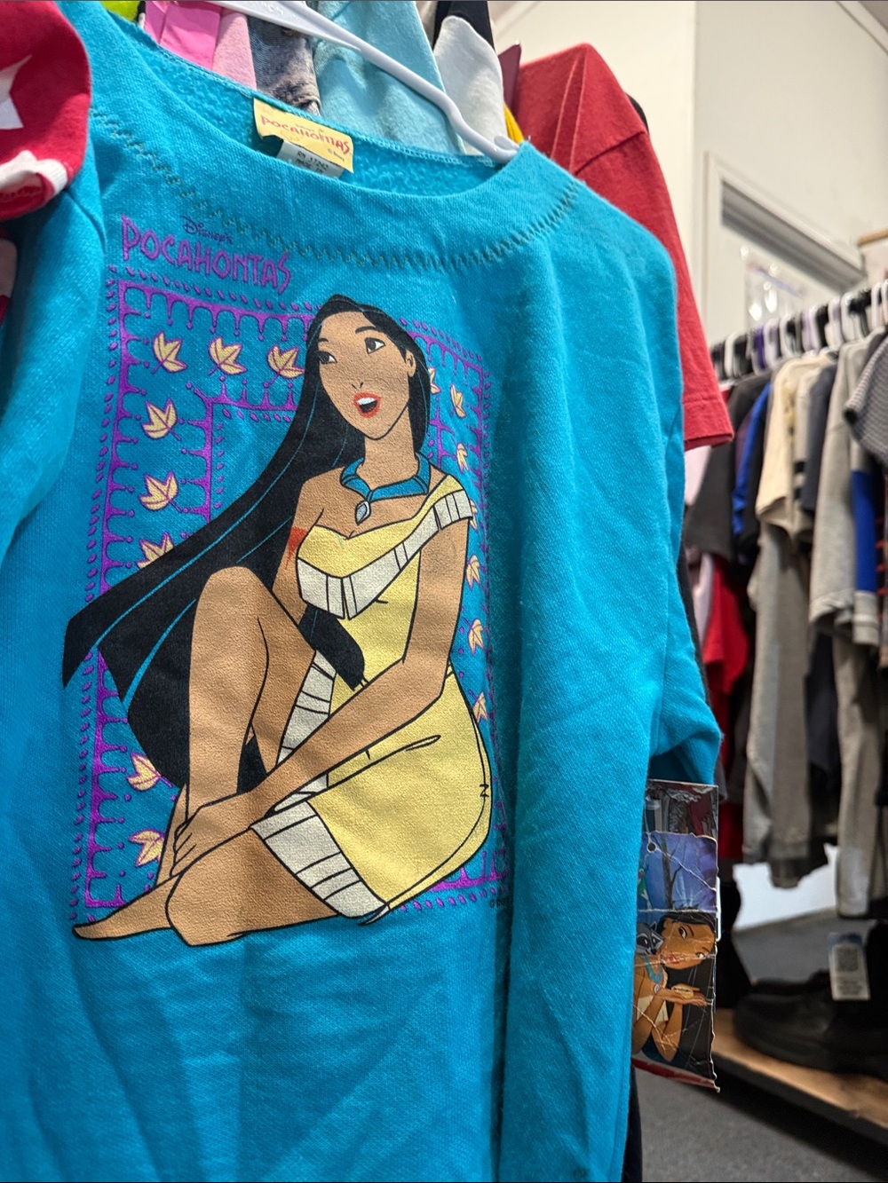 Pocahontas sweater